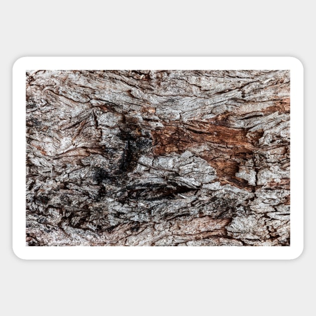 Rustic Orange & Brown Tree Trunk Sticker by textural